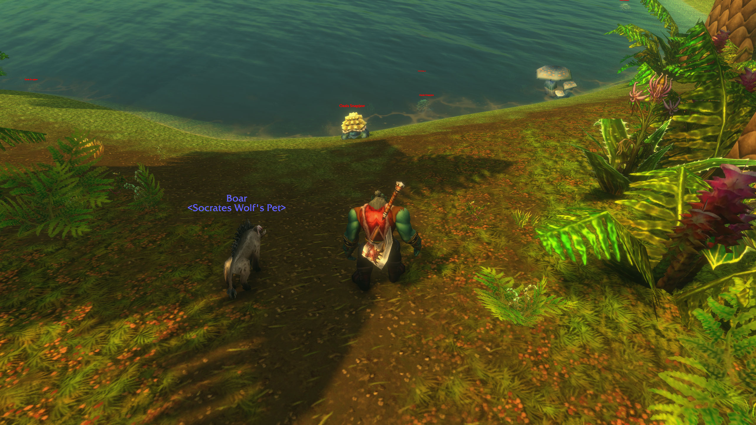 Lovec s boar petom na brehu zelenej oázy v The Barrens pri Oasis Snapjaw